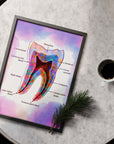 Tooth Anatomy Watercolor - Framed Art Poster For Dental Clinics