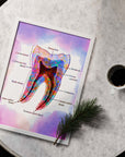 Tooth Anatomy Watercolor - Framed Art Poster For Dental Clinics