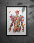 Muscular System Art - Framed Posters For Physiotherapist Clinics, Hospitals & Study Rooms