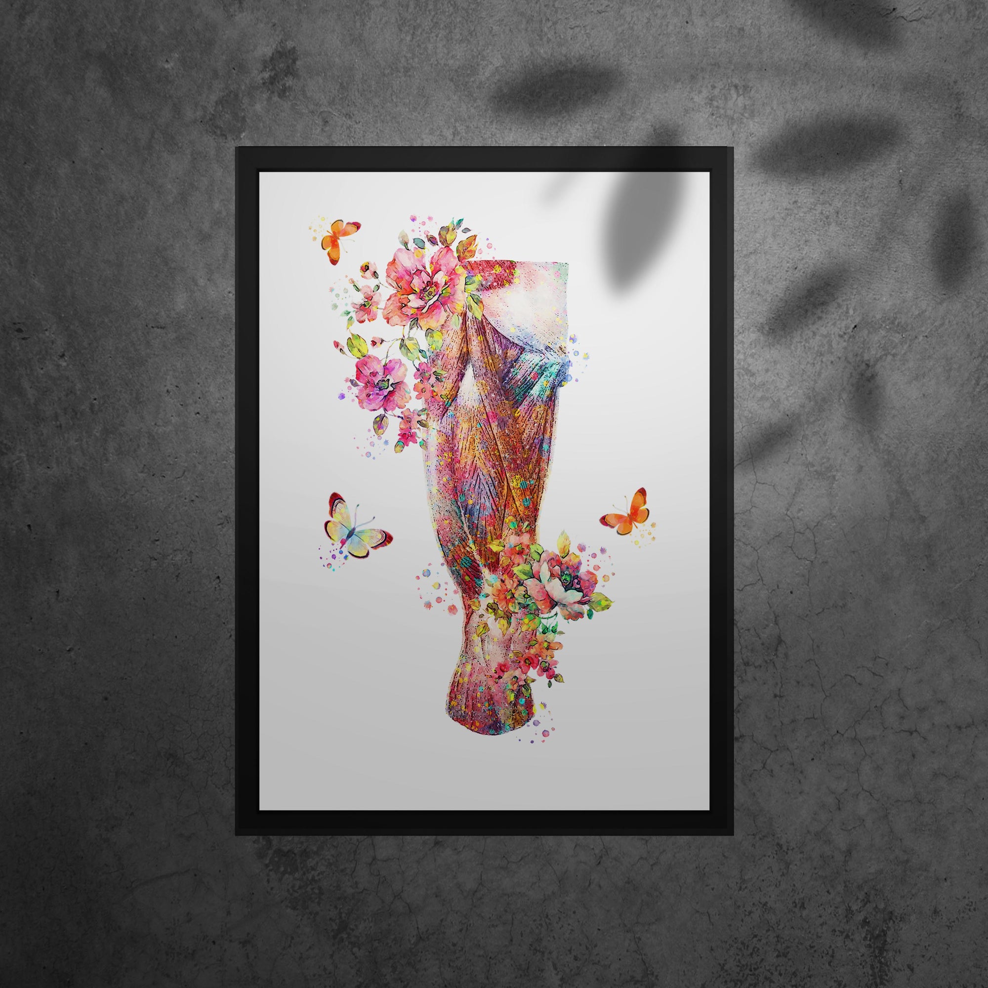 Muscular System Art - Framed Posters For Physiotherapist Clinics, Hospitals &amp; Study Rooms