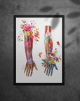 Muscular System Art - Framed Posters For Physiotherapist Clinics, Hospitals & Study Rooms