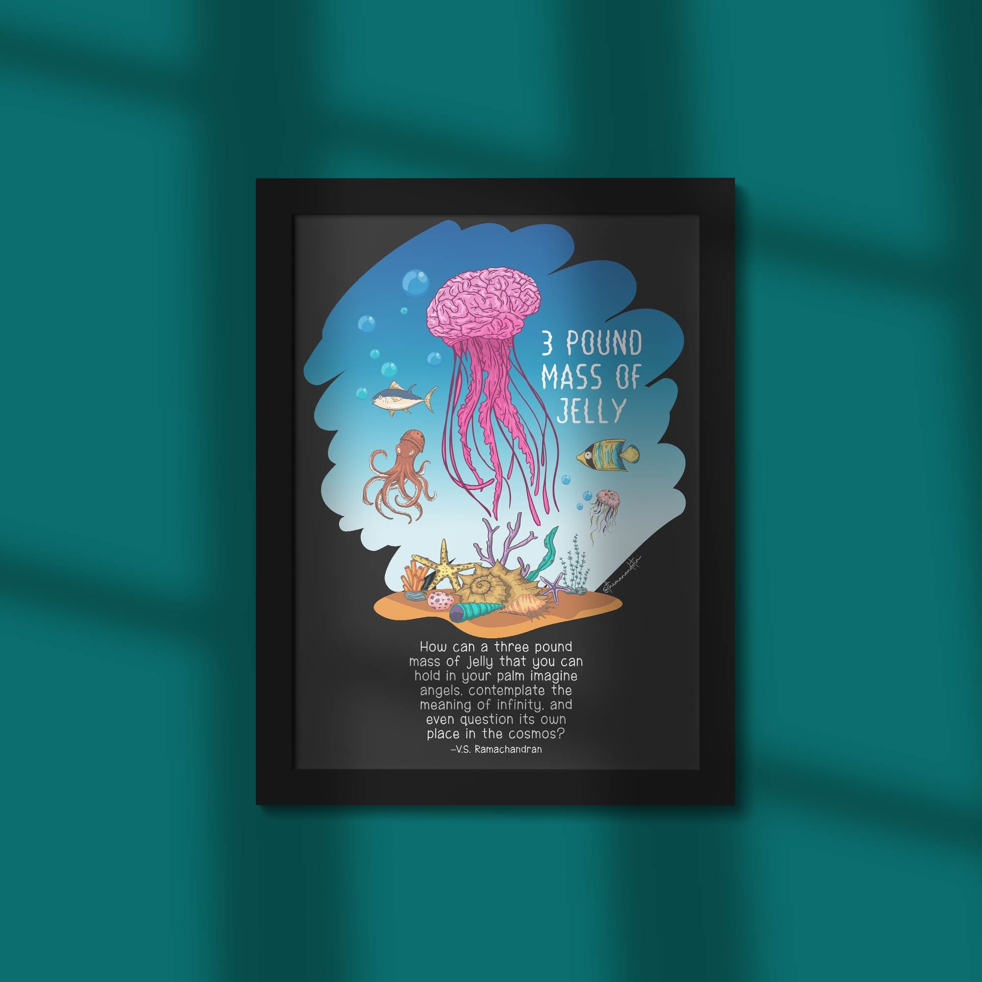 Three Pound Mass Of Jelly - Framed Poster For Clinics, Hospitals &amp; Study Spaces