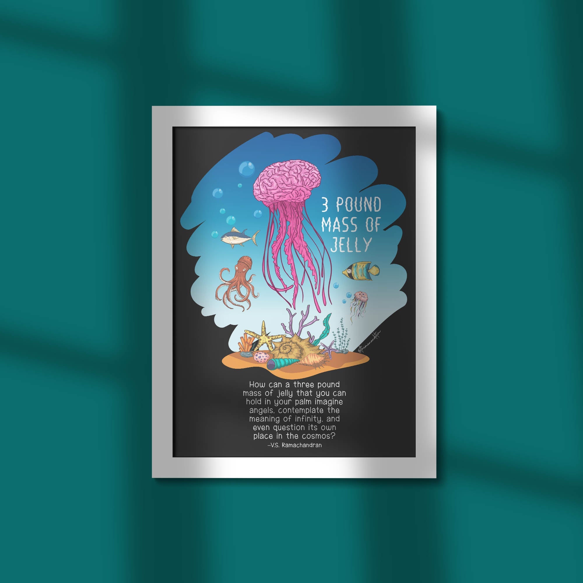 Three Pound Mass Of Jelly - Framed Poster For Clinics, Hospitals &amp; Study Spaces